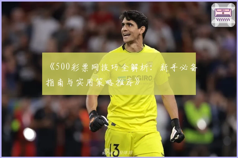 《500彩票网技巧全解析：新手必备指南与实用策略推荐》
