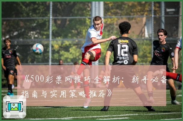《500彩票网技巧全解析:新手必备指南与实用策略推荐》