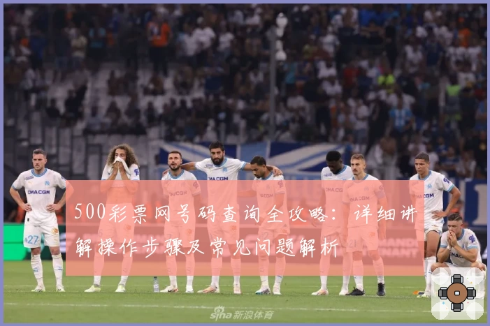 500彩票网号码查询全攻略：详细讲解操作步骤及常见问题解析