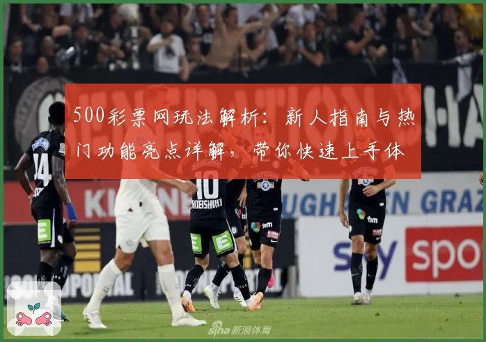 500彩票网玩法解析：新人指南与热门功能亮点详解，带你快速上手体验