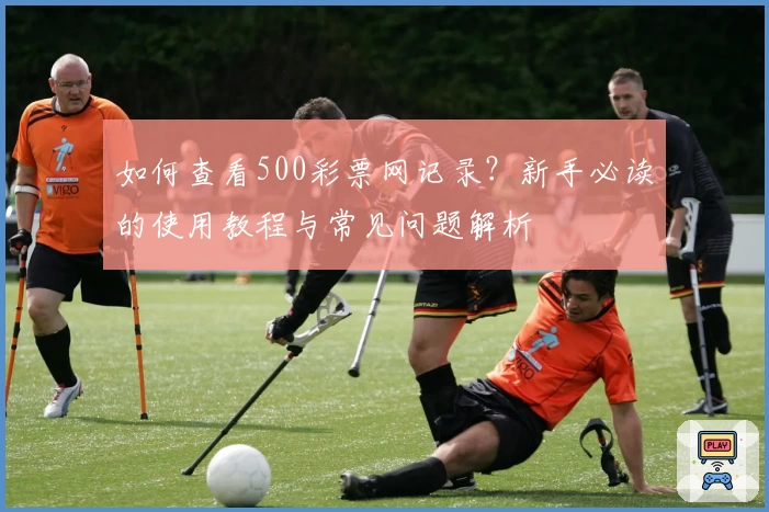 如何查看500彩票网记录？新手必读的使用教程与常见问题解析