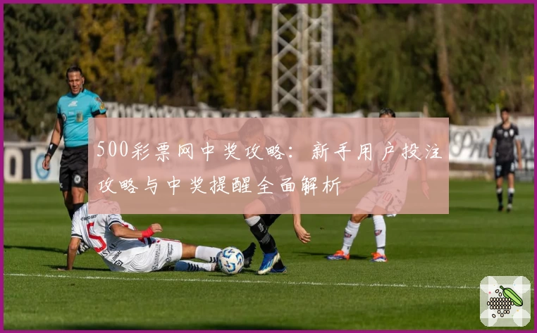 500彩票网中奖攻略：新手用户投注攻略与中奖提醒全面解析