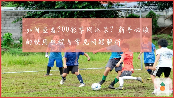 如何查看500彩票网记录？新手必读的使用教程与常见问题解析