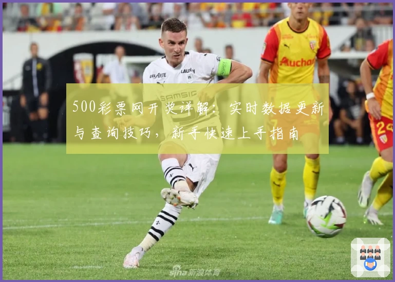 500彩票网开奖详解：实时数据更新与查询技巧，新手快速上手指南