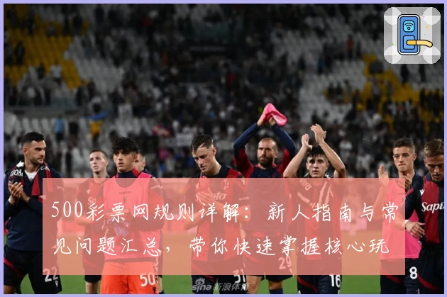 500彩票网规则详解:新人指南与常见问题汇总,带你快速掌握核心玩法技巧