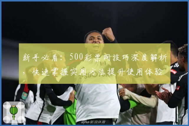 新手必看:500彩票网技巧深度解析,快速掌握实用方法提升使用体验