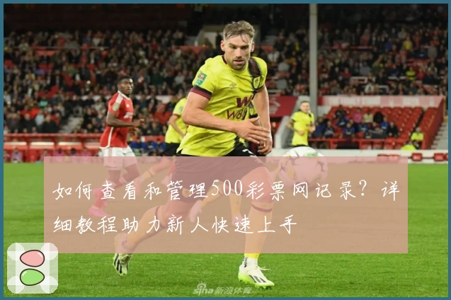 如何查看和管理500彩票网记录?详细教程助力新人快速上手